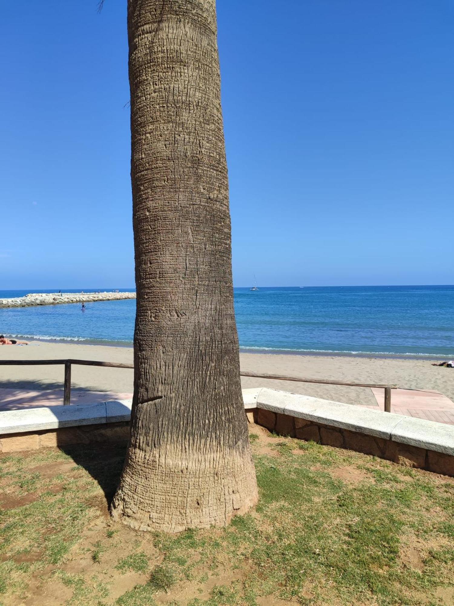 Fuengirola Reyes Beach Bagian luar foto